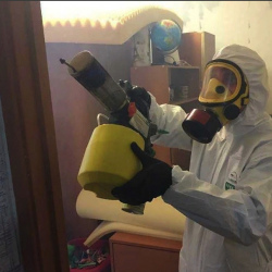 Уничтожение клопов в квартире. Шахунья